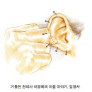 한방선생 이미지