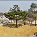 명수목장 이미지