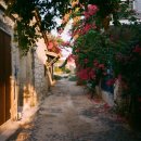 설립누리 행정사사무소 이미지