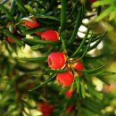 위스터디영어학원 | 영어학원 위스터디학원 제주 제주시 이도이동 가격 후기