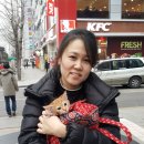 반딧불 동물병원 이미지