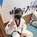 수주태권도장 네이버블로그