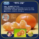 지연농장 이미지