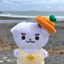 씨유 상봉대로점 | 제주 여행 (09.23~09.25)