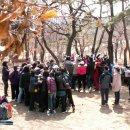 3월31일은 드림플러스 단합대회 날 입니다. 이미지