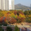 매천근린공원 이미지