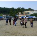 도고온천초등학교 Daum카페