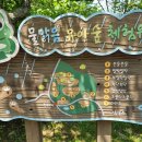 경기도 아이와 가볼만한곳 물맑음수목원 유아숲체험원