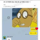 (주)올마 | 시비월의 기적 🍒