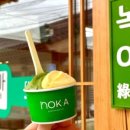 양지사진관 이미지