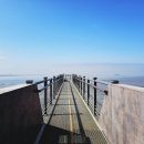 25년8월14일 충남 서천 (국립생태원 에코리움, 장항 스카이워크, 특화시장), KBS 만남의숲 07시 출발 , 회비 65,000원 이미지