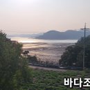 서산시 팔봉면 호리 바다뷰 멋진 풍경의 신축 한옥 전원주택 토지 264py 건축 24py 서산부동산 서산시부동산 서산전원주택 농가주택 이미지