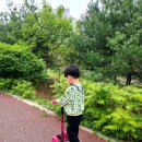 호야국수 이미지