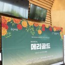 청라블루노바홀에서 보고 온 생명존중 뮤지컬 메리골드 후기