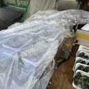 팥죽명가 이미지