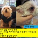 가나동물병원 이미지