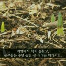 모소(MOSO) 네이버블로그