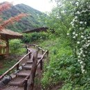 산골초가집 이미지