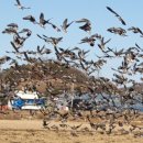 고석정가든 이미지