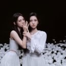 도드리 카카오 검색결과