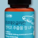 바름관리 이미지