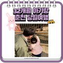 장호농장 | 32개월 아기랑 춘천 당일여행! + 장호더그릴 / 수유실 있는 카페 리버레인 / 해피초원목장