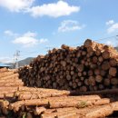 전남제재소 이미지