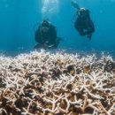 바다의숲 이미지