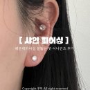 샤인약국 | 해운대 피어싱 잘뚫는 곳 | 샤인피어싱 이너컨츠 귀테리어 재방문 후기