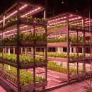 광원축산 이미지