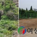 삼거리방죽 여성종합뉴스