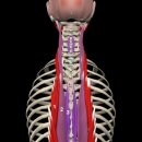 단지장골 이미지