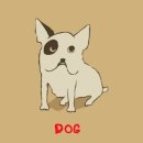 김해동물메디컬센터 이미지