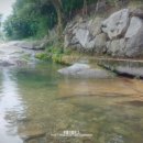 풀향기머무는집 이미지