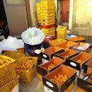 준이네농장 이미지