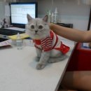 용산동물병원 이미지