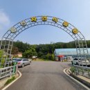 동천야외수영장 이미지