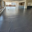 레이지독 이미지