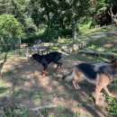 푼타하우스 이미지