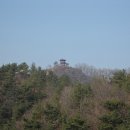 영화마을 이미지