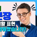 미국인이 자주 쓰는 쉬운 영어회화 500개 이미지