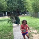 나비잠 방탈출카페 이미지