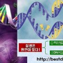 생명예찬1 이미지