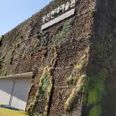 친환경 식물 미술관 이미지