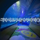 ［씨라이프부산아쿠아리움］ 부산 해운대 아쿠아리움 후기