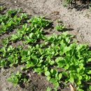 지불경로당 이미지