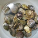 다마내기 이미지