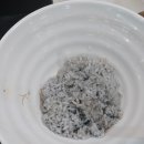 천호낙지 | 동대문구 배봉사거리 천호낙지 방문 후기 │ 장안동 낙지볶음 맛집 솔직 리뷰