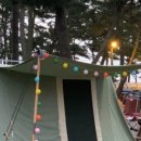 몽산포주차장 이미지