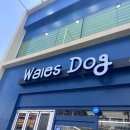 Wales Dog(웨일스독) | [서울 망우] 웨일스독 :: 망우역에 새로생긴 애견카페